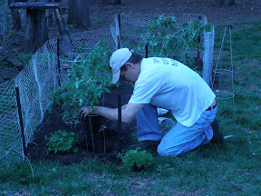 the gardener